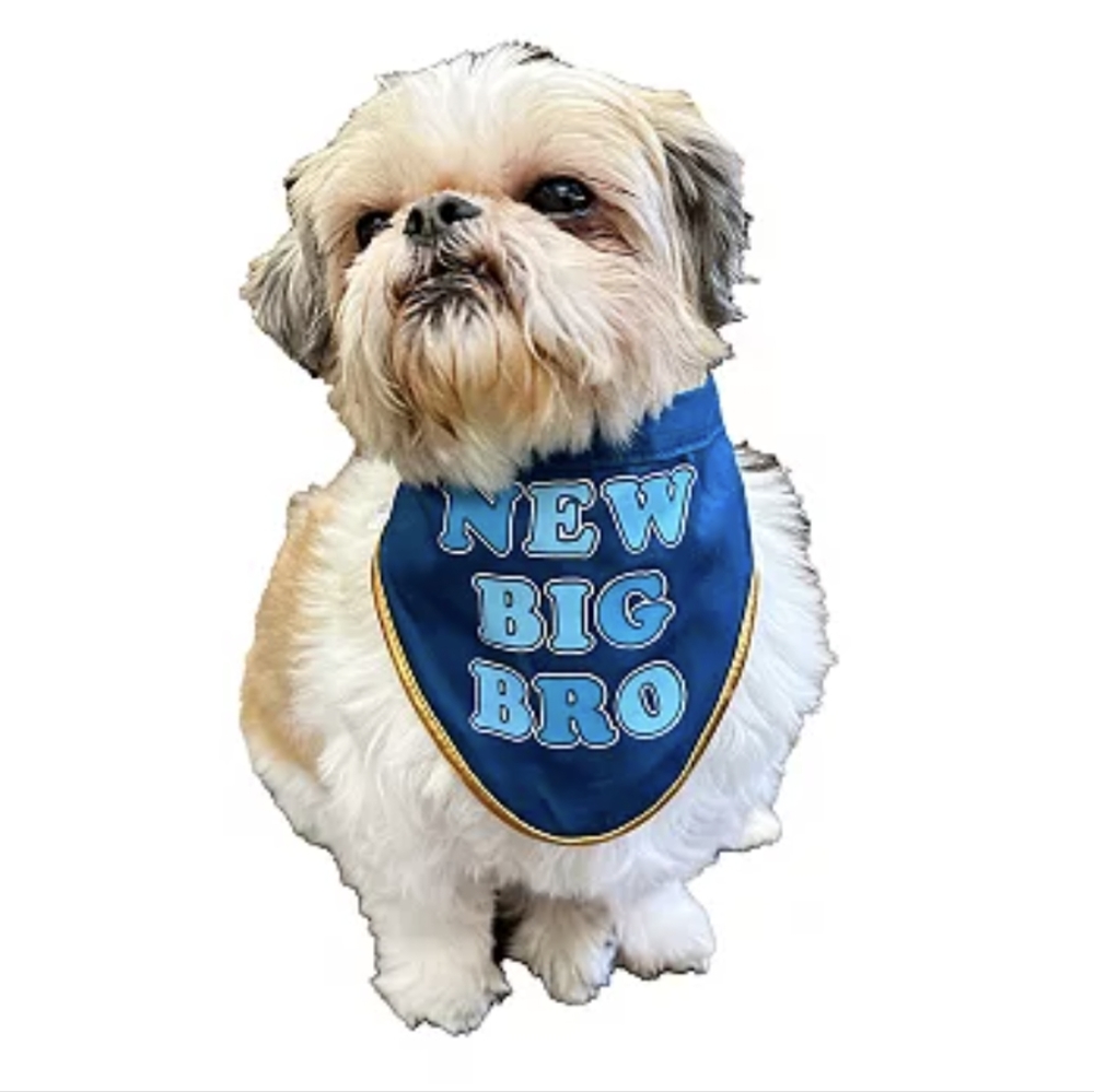 WOOF "BIG BRO" Pet Bandana L/XL 15"-18" New